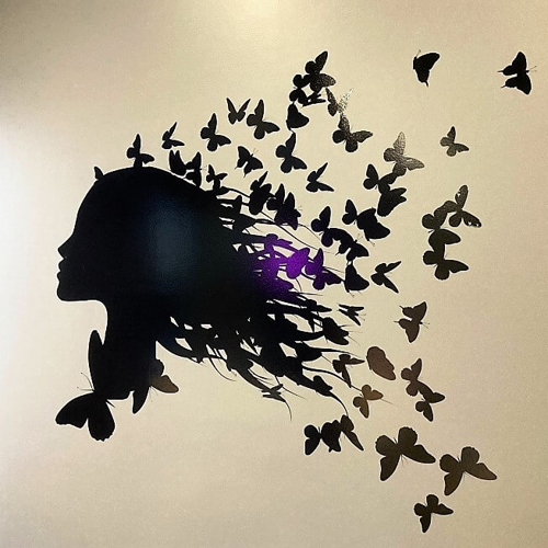 Vinyl Graphics